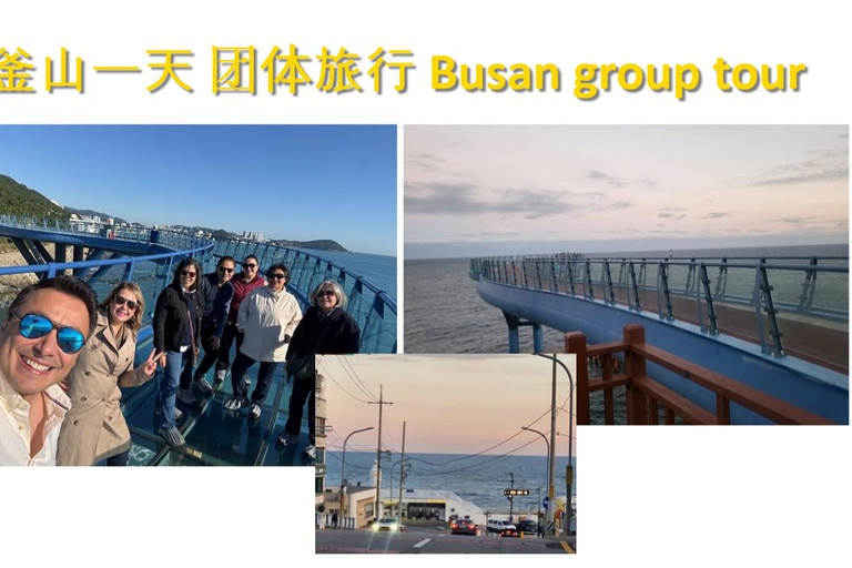 Busan: Kleingruppentour für Kreuzfahrtschiffpassagiere[kleine Gruppe] Englischsprachiger Reiseleiter