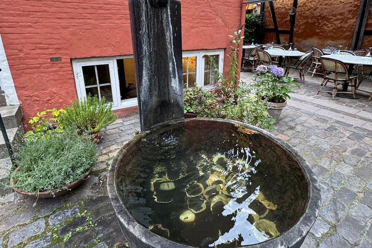 Copenhagen in 4 Hours in Spanish: Your Hygge Experience Copenhagen in 4 Hours: Your Hygge Experience – Walking Tour in Spanish