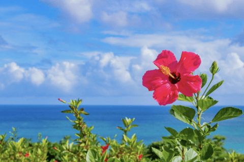 Tour privato personalizzato di Okinawa con guida locale