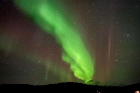 Vanuit Saariselkä/Inari: Aurora-jachttour, kampvuur en snacksVanuit Saariselkä/Inari: op jacht naar het noorderlicht, kampvuur en snacks