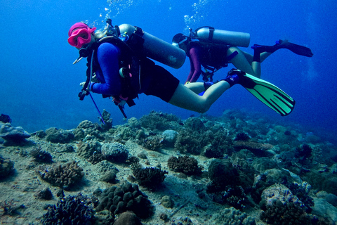 Meno Dive Club: Discover Scuba Diving Experience - Gili Meno