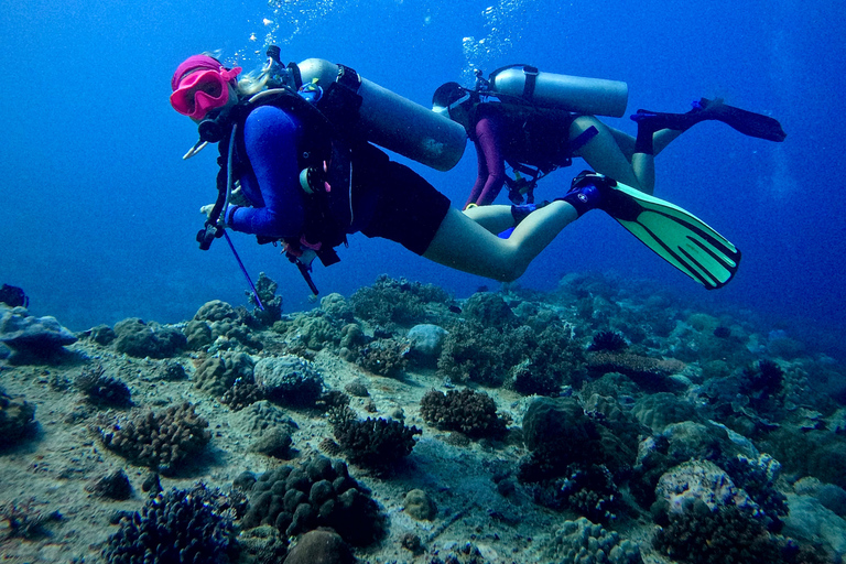 Meno Dive Club: Discover Scuba Diving Experience - Gili Meno