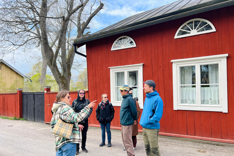 Da Helsinki: Rovine del castello di Raasepori e centro storico di Ekenäs