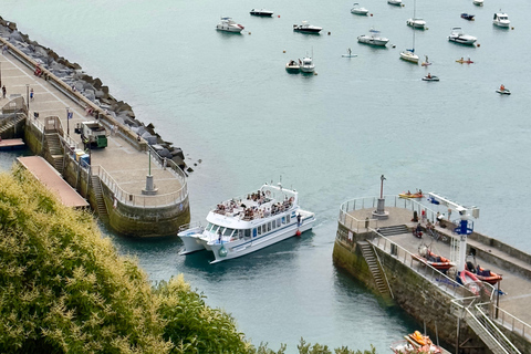 San Sebastian: Tour panoramico della baia e della costa in catamarano