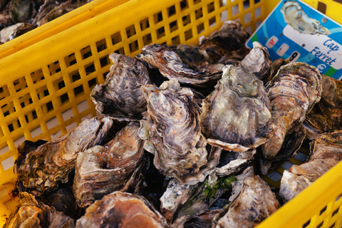 Au départ de Bordeaux : Visite d'une jounée du Bassin d'Arcachon et déjeuner d'huîtres.