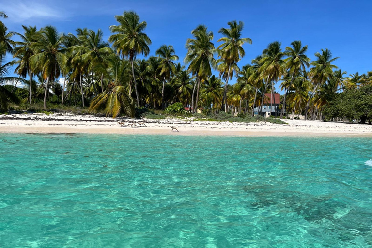 From La Romana: Saona Island for Aida Cruises Passengers