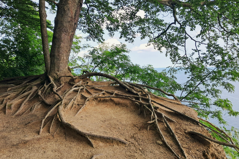 Gdynia: Forest, Cliff, and Beach Guided Walking Tour