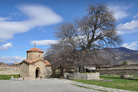 Mtskheta, Jvari, Samtavro Half-Day Discovery