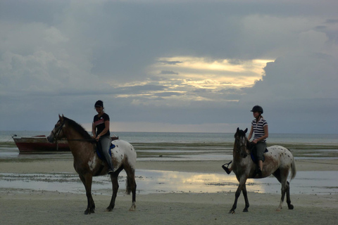 Horseback Riding, Kuza Cave, Paje Beach, The Rock Dinner