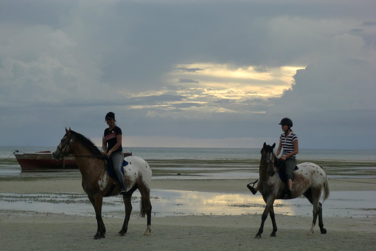 Horseback Riding, Kuza Cave, Paje Beach, The Rock Dinner