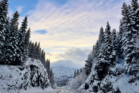 Narvik/Harstad : Excursion d&#039;une journée dans les Fjords avec arrêt à la ferme des rennes
