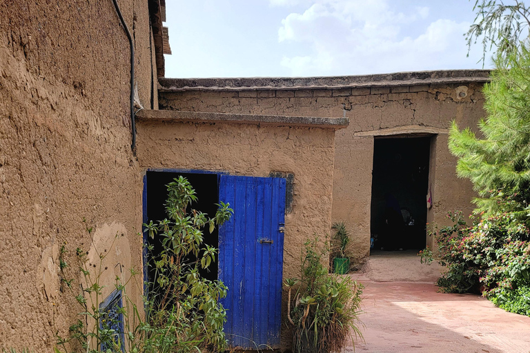 Marrakech: Ourika Valley, Waterfalls Private Trip with Lunch