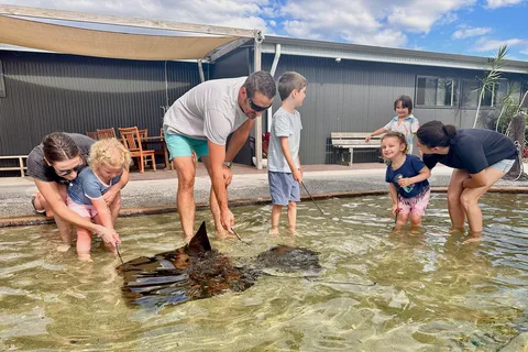 Anna Bay: Irukandji Entry Pass med Shallows Encounter