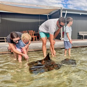 Anna Bay: Irukandji Entry Pass with Shallows Encounter