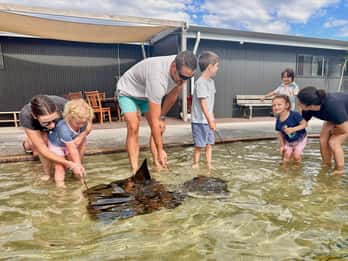 Anna Bay: Irukandji Entry Pass with Shallows Encounter