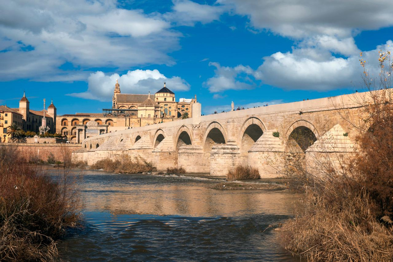 科尔多瓦清真寺：安达卢斯的活历史