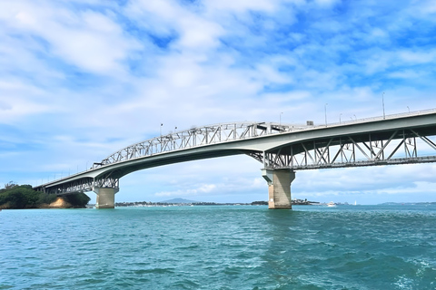 Auckland: Scenic Wine and Cheese Harbour Cruise