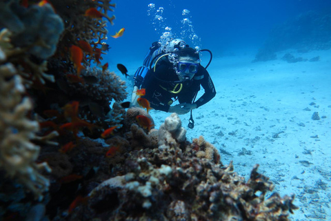 Hurghada: Dive Experience for Beginners or Certified Divers Full-Day Scuba Diving for Certified Divers