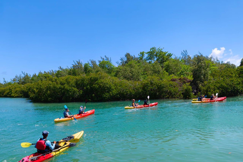 Ile d Ambre Kayakkayak en el Parque Nacional de Ile d Ambre
