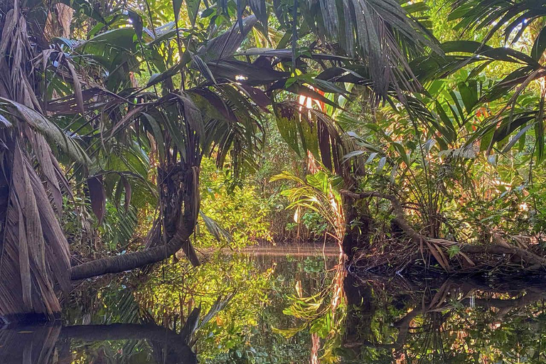 Tortuguero : Trois jours et deux nuits tout compris à TortugueroTortuguero : Deux nuits Prise en charge à SJ - Aller-retour 3 jours