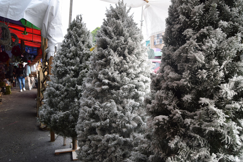 Mexico : Visite guidée du marché aux fleurs de la Jamaïque avec déjeuner