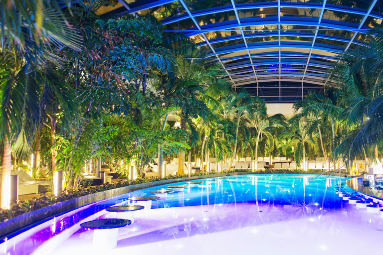 Therme Bucharest Palm & Galaxy Wellness Day Experience Audio Guide 24 Languages