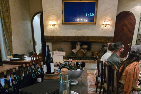 Cape Town: Cruise Passengers sunset Safari & Wine Tour