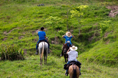 From Medellin; (All-In) The Real Horseback Ranch ExperienceMedellin Departure; Authentic Colombian Ranch Experience