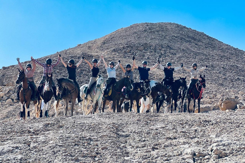 الغردقة: جولة ركوب الخيل في الصحراء والبحر مع خيار السباحةجولة لمدة ساعتين لركوب الخيل بدون السباح