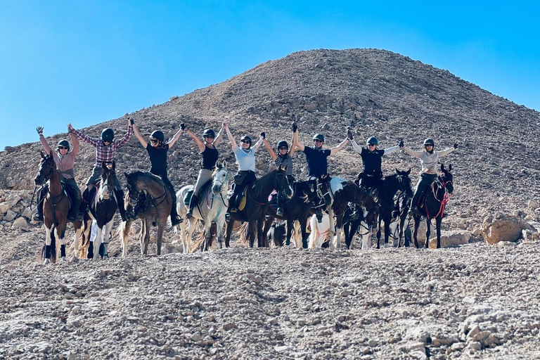 الغردقة: جولة ركوب الخيل في الصحراء والبحر مع خيار السباحةجولة لمدة ساعتين لركوب الخيل بدون السباح
