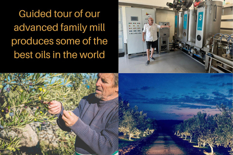 Olive Park Self Drive - Öl-, Wein- und LebensmittelverkostungOlivenmühlentour, Öl, Wein &amp; Essen erleben - Selbstfahrer