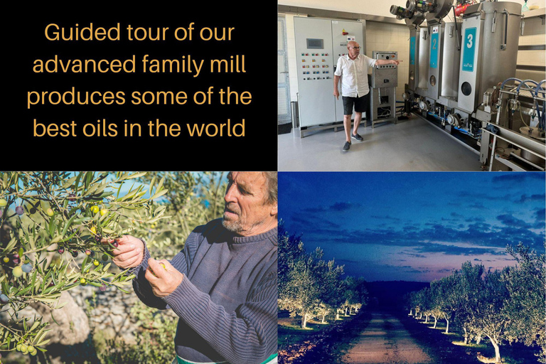 Olive Park Self Drive - Öl-, Wein- und LebensmittelverkostungOlivenmühlentour, Öl, Wein &amp; Essen erleben - Selbstfahrer