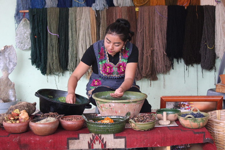 Oaxaca: Hierve el Agua, Tule, Mitla & Mezcal Full-Day Tour.