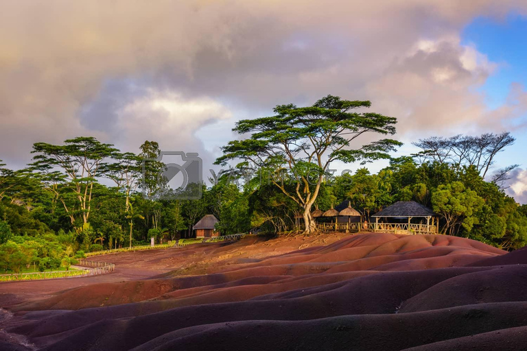 South West Mauritius : Ebony Forest Nature Escape with Lunch Into the Wild South: Ebony Forest Nature Escape with Lunch