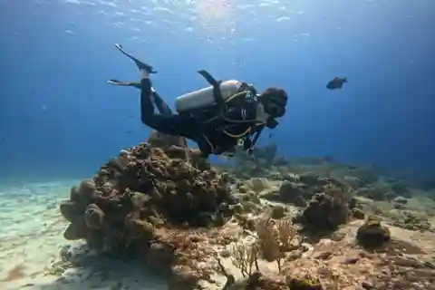 Cozumel Scuba Diving: 2 Tanks in the National Park for certified divers
