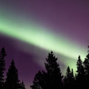 Luleå: Northern Lights Snowshoeing Tour