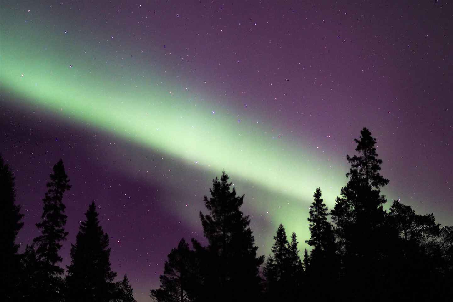 Luleå: Northern Lights Snowshoeing Tour