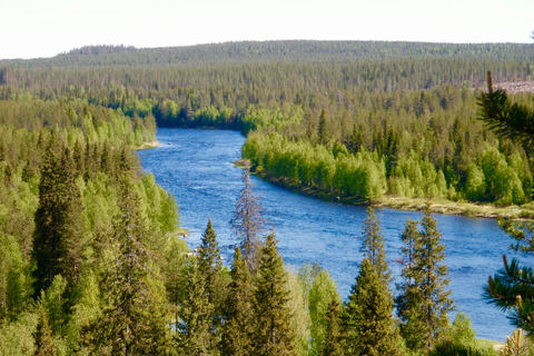 Rovaniemi: Tour di pesca estiva nella natura artica e barbecueTour di pesca estiva nella natura artica e barbecue - Piccolo gruppo