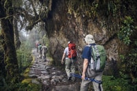 Desde Cusco, Inca Trail 4days 3 noches - Housity