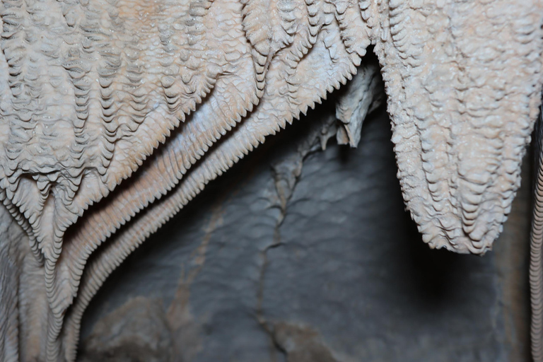 Guatemala: 2-Night Adventure in the Candelaria Caves in the Verapaces Guatemala: 2-Night Adventure in Candelaria Caves in Verapaces