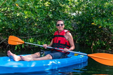 Exploring Cancun: Guided kayak tour through the Mangroves Sunset Tour: Guided kayak tour through the Mangroves