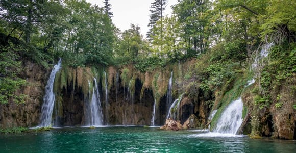 Ab Rijeka: Nationalpark Plitvicer Seen Einfache geführte Tagestour