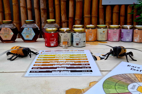 Boquete's Original Honey Tasting: 20+ Wild & Native Honeys