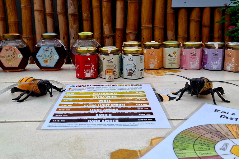 Boquete's Original Honey Tasting: 20+ Wild & Native Honeys