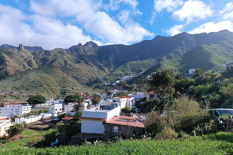 Puerto de la Cruz: Foresta di Avatar -Taganana-Teresitas+coda