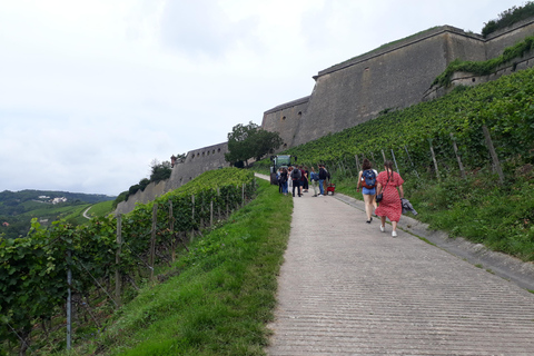 Wurtzbourg : rallye dans les vignobles avec dégustation de vins et dynamique de groupeWuerzburg : rallye dans les vignobles avec dégustation de vin et dynamique de groupe