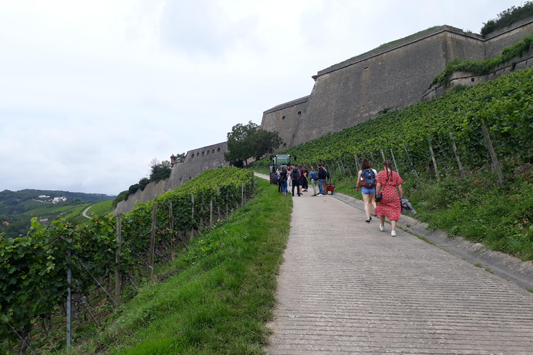 Wurtzbourg : rallye dans les vignobles avec dégustation de vins et dynamique de groupeWuerzburg : rallye dans les vignobles avec dégustation de vin et dynamique de groupe