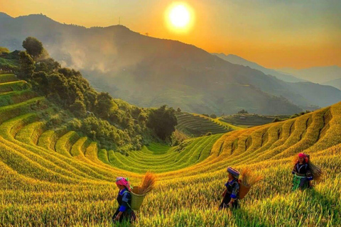 Mu Cang Chai 2 Days Tour Trekking Terraced Rice Field