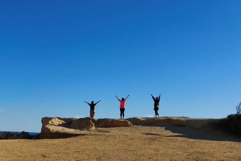 From Perth: Koala, Pinnacles Stargazing Day Tour