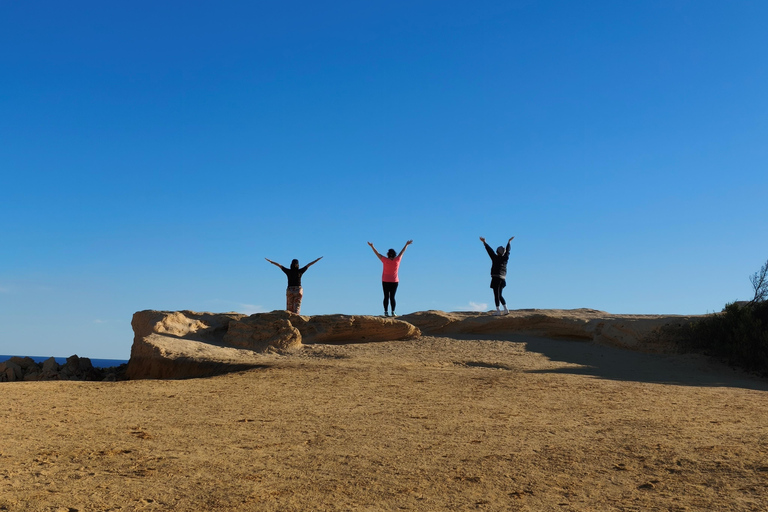 From Perth: Koala, Pinnacles Stargazing Day Tour